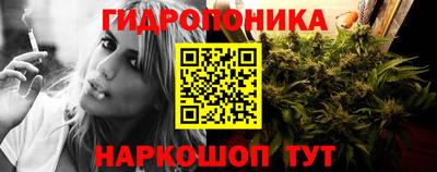PSILOCYBIN Чебоксары
