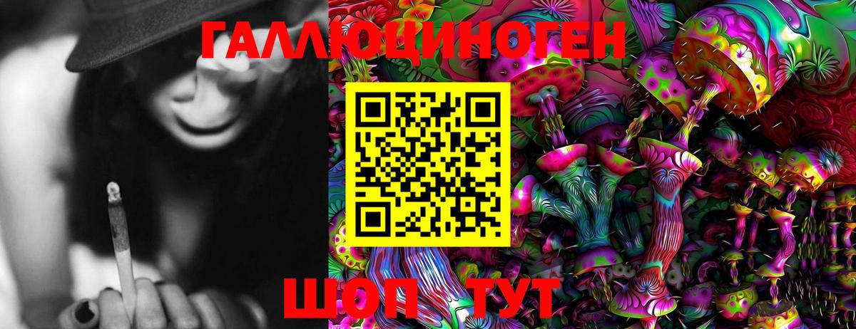 Галлюциногенные грибы Cubensis  Псилоцибиновые грибы мицелий  Слободской  Вход с VPN 
